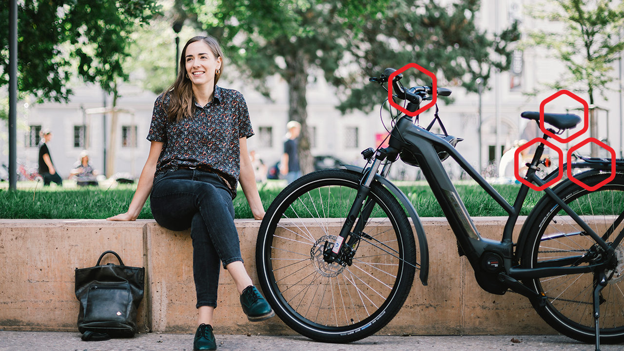 Fahrrad-Alarmanlage Montage am Fahrrad oder E-Bike